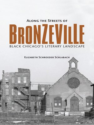 cover image of Along the Streets of Bronzeville